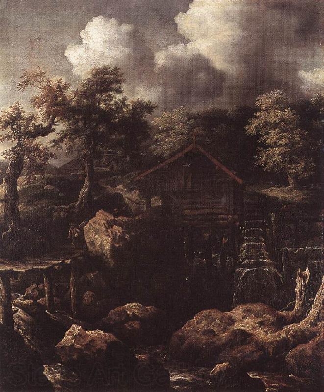 EVERDINGEN, Allaert van Forest Scene with Water-Mill  df